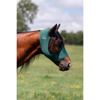 Comfort Fit Lycra Fly Mask w/ Forelock Opening | Emerald Pony