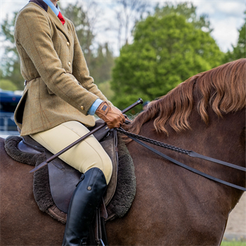 Woof Wear | Show Whip