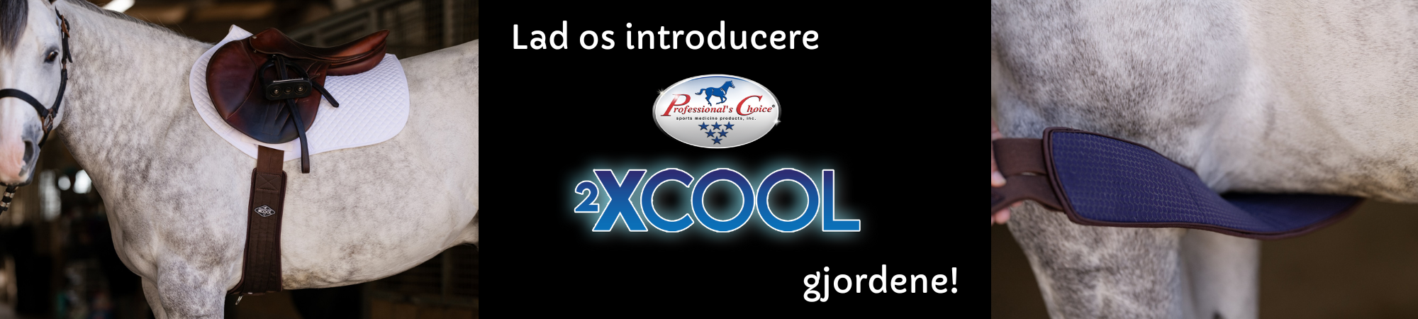 NYHED 2XCool gjorde fra Professional's Choice